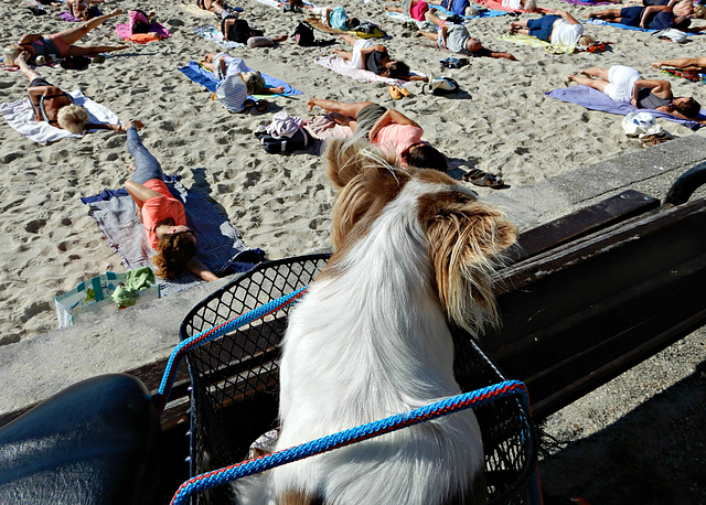 gym à la plage le public est attentif