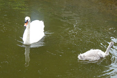 en famille en famille