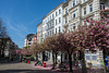 am Hein-Köllisch-Platz, Hamburg .. P.i.P. (© Buelipix)