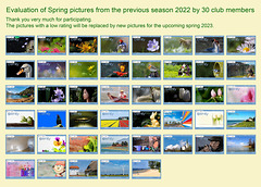 Spring Pictures 2022 - Voting Result