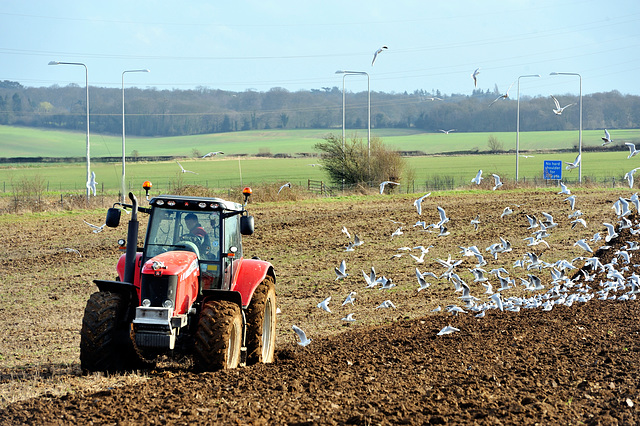 HFF ~ from the north side of the M25 ~ HS2 junction 17