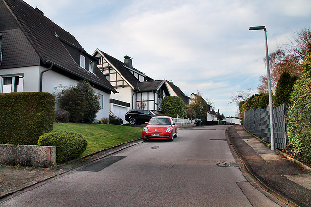 Fliederweg (Schwerte-Ergste) / 9.03.2024