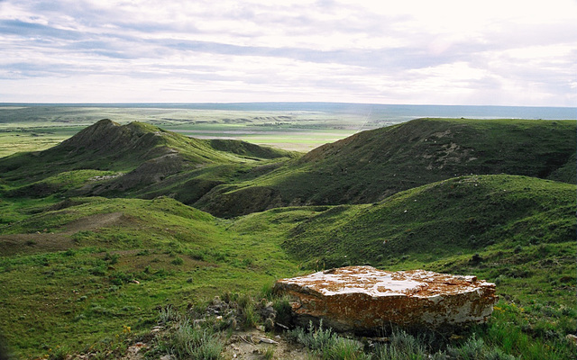 Grasslands glacial erratic