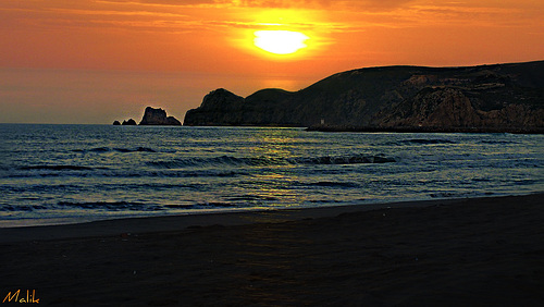 Photo de Malik.