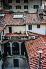 Florence Rooftops