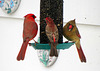 A Cardinal pair & a male Housefinch