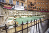 Gaia Fountain, PIazza del Campo, Siena