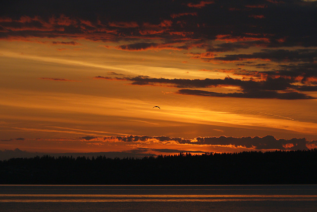 Semiahmoo Sunset