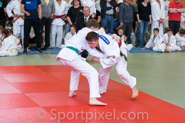 oster-judo-0773 17124042576 o