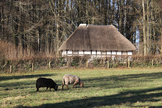 Museum of Welsh Life; St Fagans