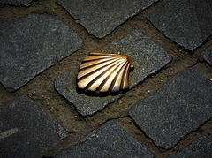 Golden shell on the footpath.