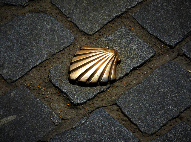 Golden shell on the footpath.