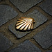 Golden shell on the footpath.