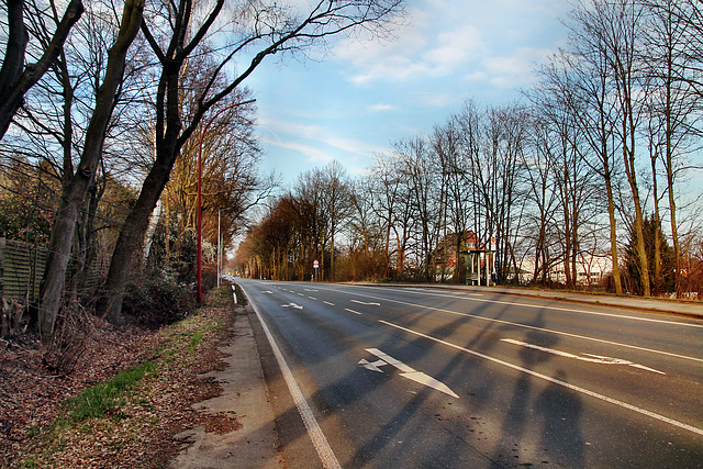 Unnaer Straße (Schwerte-Geisecke) / 9.03.2024