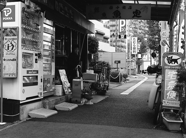 Odd shop Odd shop