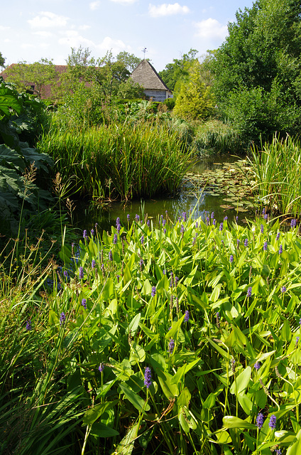 The Horse Pond