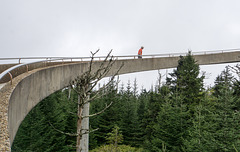 Clingmans Dome hiker