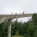 Clingmans Dome hiker