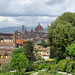 View Over Florence