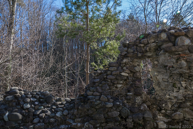 bei der Ruine Neuburg (© Buelipix)