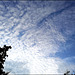evening sky