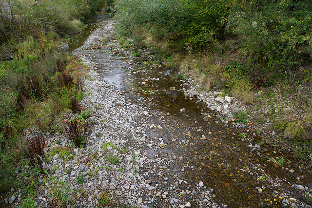 Wasser im Flussbett