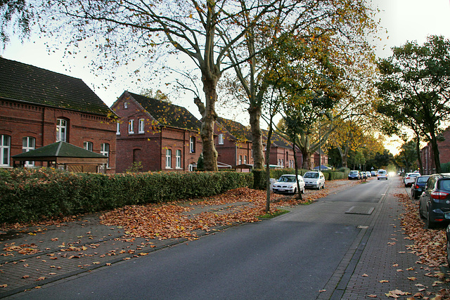 Sedanstraße (Siedlung Ziethenstraße, Lünen-Süd) / 27.10.2019