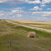 lonely bale, lonely highway