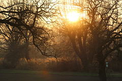 Sonniger Januartag