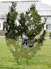 Our Botanic Selves (Pacific Yew) by Marc Quinn