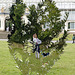 Our Botanic Selves (Pacific Yew) by Marc Quinn