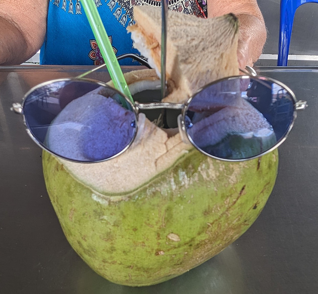 Noix de coco à lunettes / Spectacled coconut