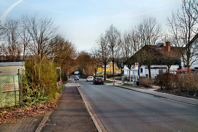 Geisecker Talstraße (Schwerte-Geisecke) / 9.03.2024