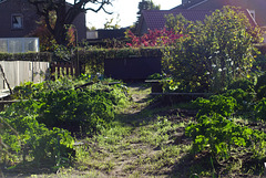 Allotment