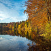 Hackensee