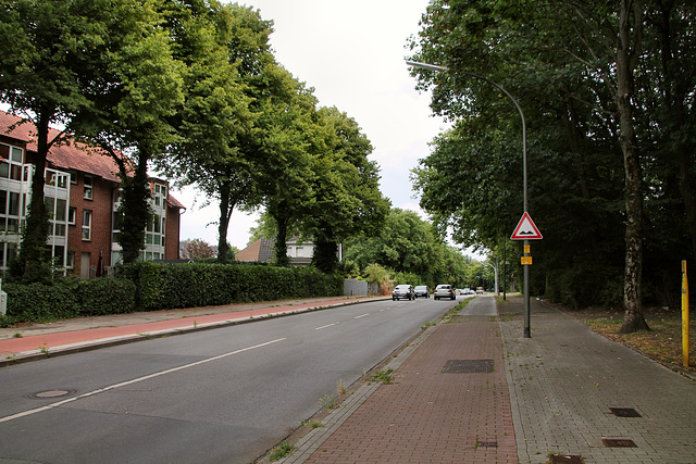 Middelicher Straße (Gelsenkirchen-Erle) / 25.07.2022