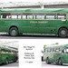 AEC Regal IV NLE 633 Eastbourne Classic Bus Running Day 7 7 2024