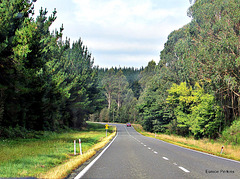 On the Road Again.
