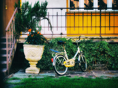 Il paradiso in terra non esiste, ma chi va in bicicletta ci arriverà comunque. (Mauro Parrini)