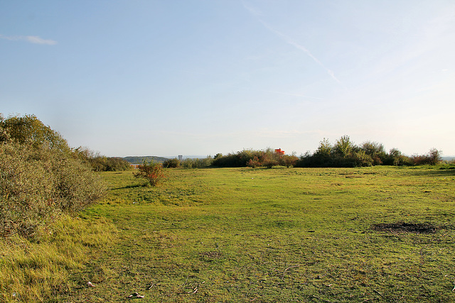 Halde Radbod, Hamm-Bockum-Hövel / 13.10.2019