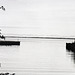 The Bay