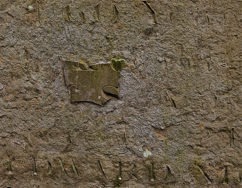 Weathered Words