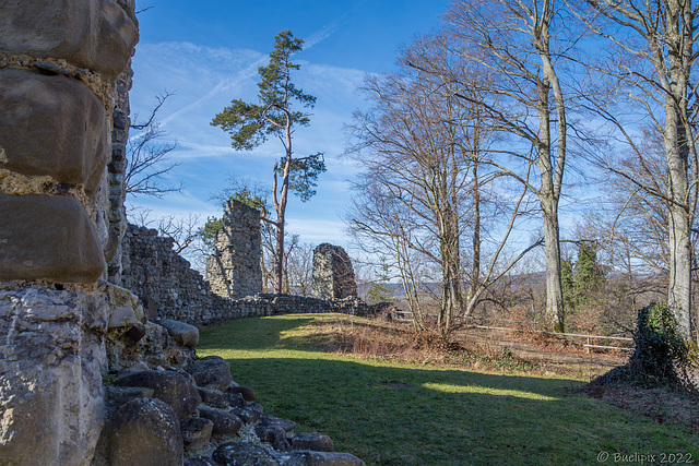 bei der Ruine Neuburg (© Buelipix)