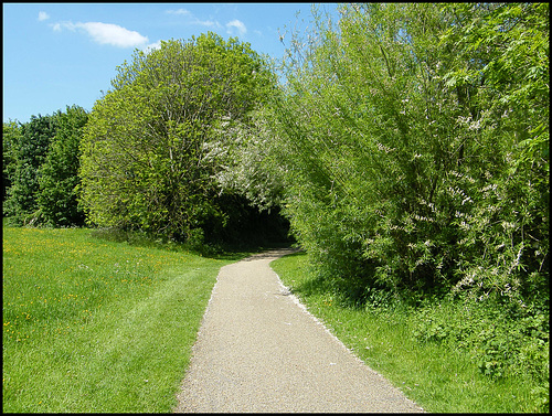 path through the nature reserve
