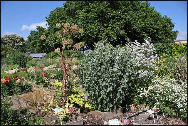 Jardin botanique de La Charme -63 (25)