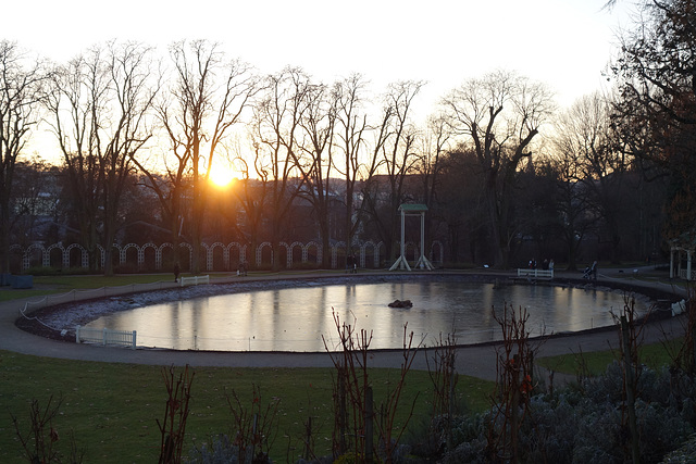 fenced pond