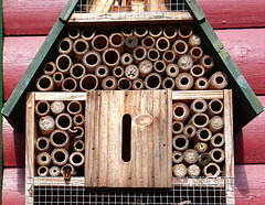Insektenhotel mit Besucherin