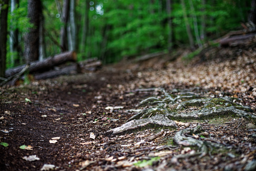 21.05.23 Burzelberg 1