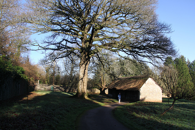 Museum of Welsh Life; St Fagans