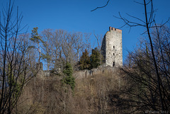 bei der Ruine Neuburg ... 6 x P.i.P. (© Buelipix)